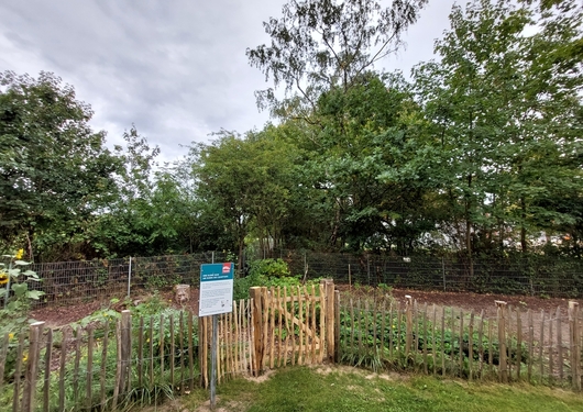 Nachbarschaftsgarten in St. Lorenz Süd mit Staketenzaun und TRAVE-Schild.